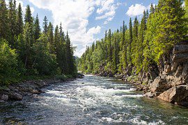 Gold Panning for Beginners