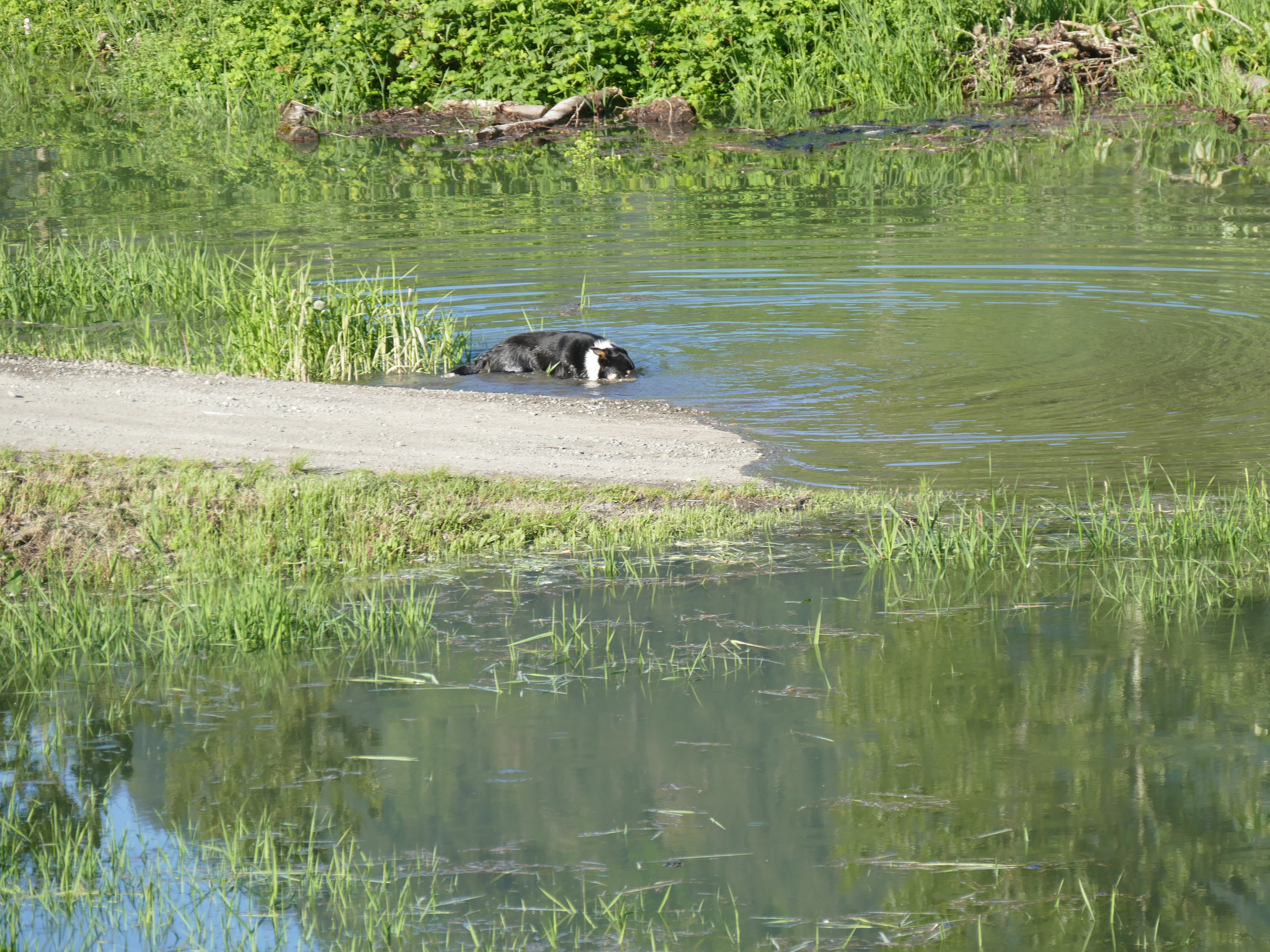 A hike to the river