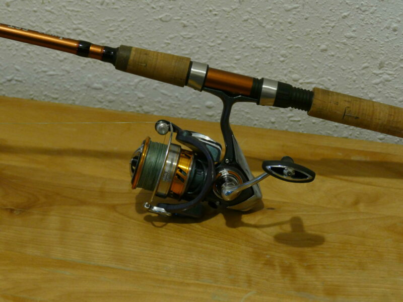 Daiwa Regal LT Spinning Reel