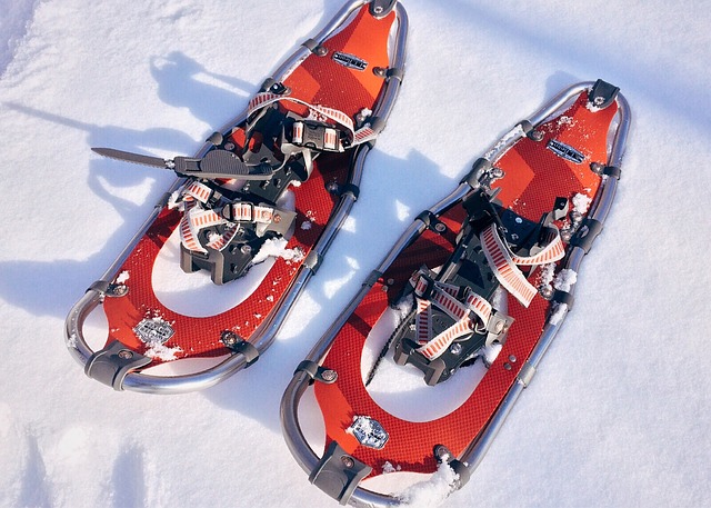10 Things to Know about Snowshoes-for your benefit